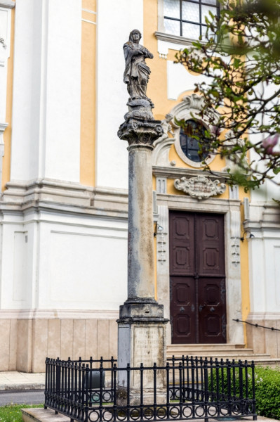 5-5-maria-immaculata-01